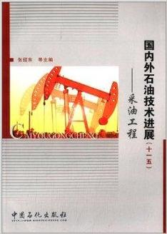 国内外石油技术进展:采油工程